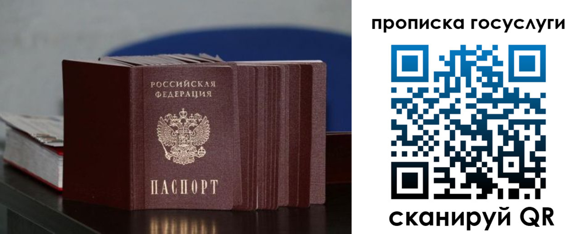 купить прописку в Коле